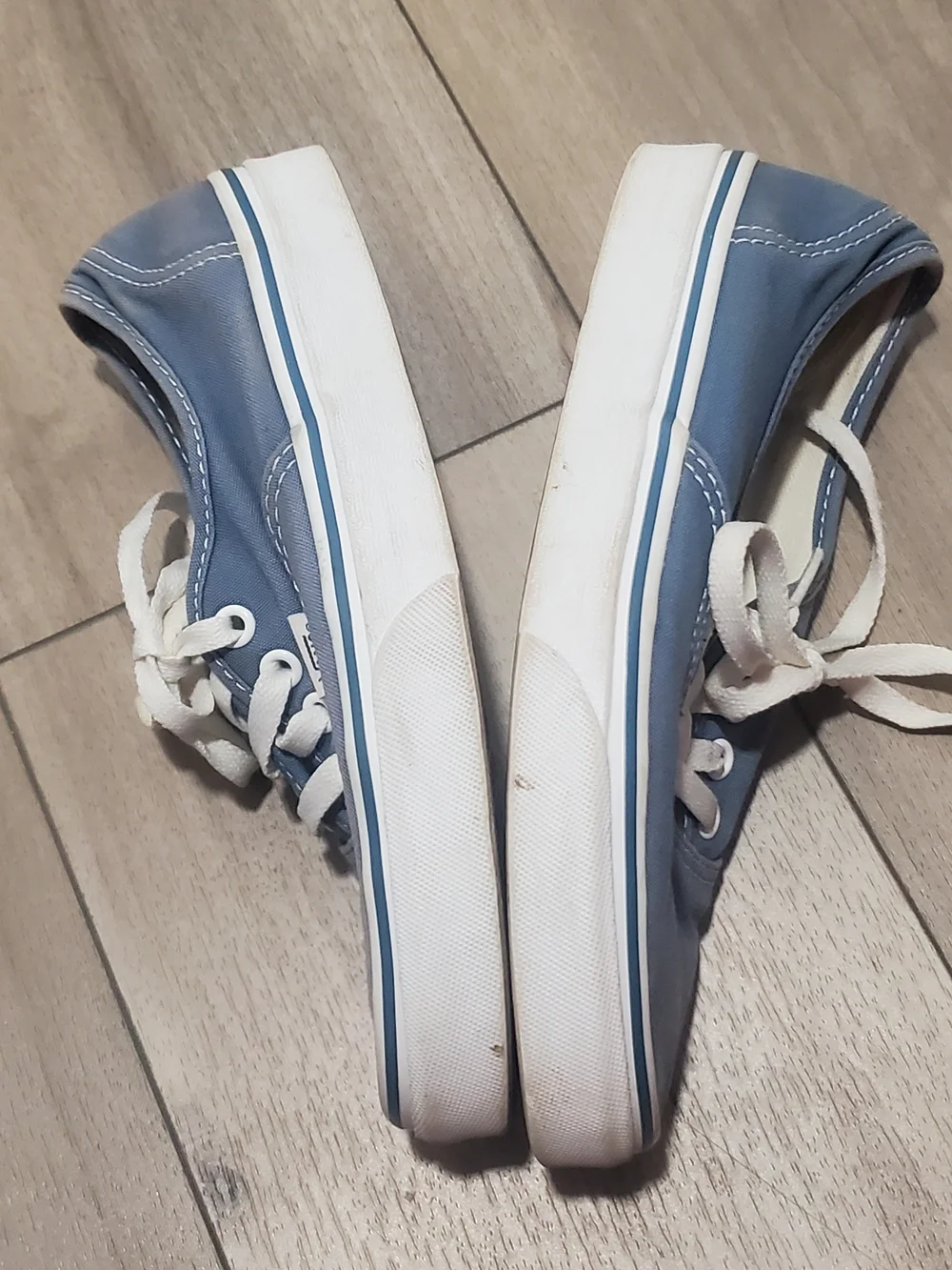 Vans Authentic Low Top Sneakers in Light Blue